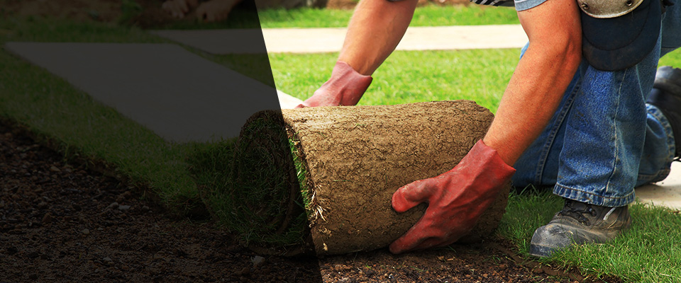 Rutledge Landscapers